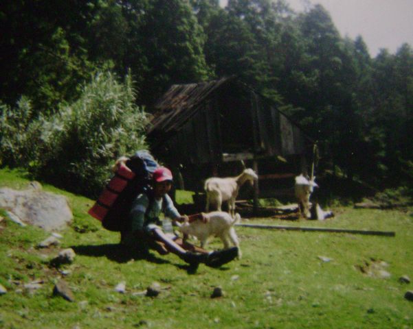 campismo, Cuartelillos, Cofre de Perote